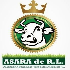 ASARA DE R.L