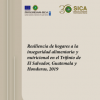 Informe de Resiliencia de hogares a la inseguridad alimentaria y nutricional en el Trifinio de El Salvador, Guatemala y Honduras - 2019